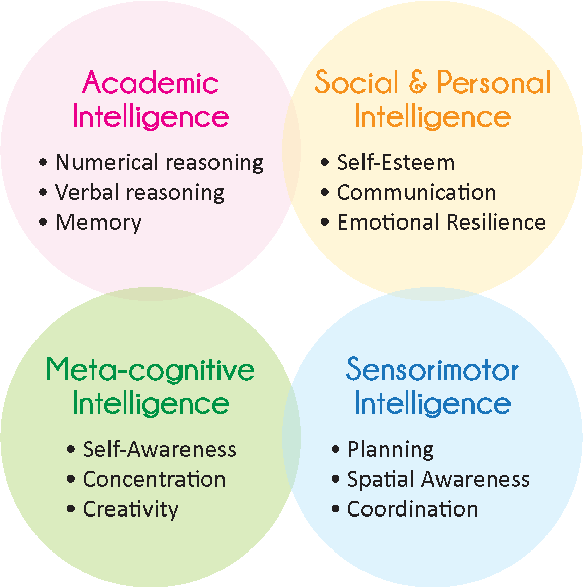 What is sensorimotor discount intelligence